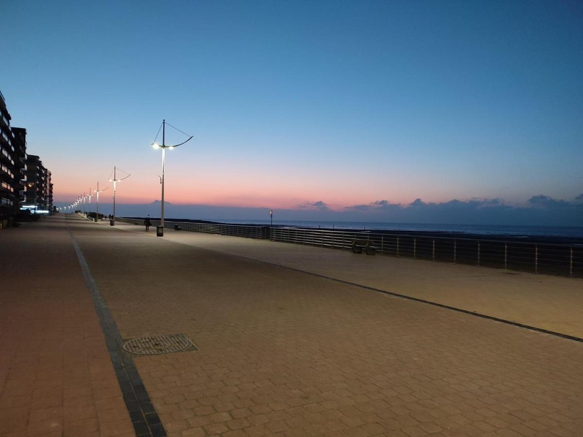 Zilverzand Aan Zee - Frontaal Zeezicht Коксейде Экстерьер фото